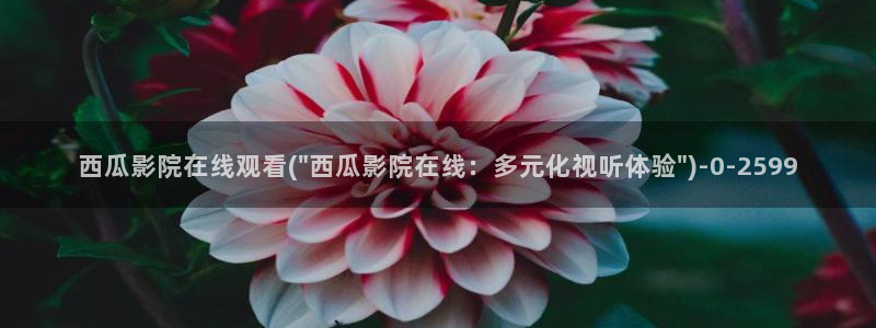 交换的一天西瓜电影