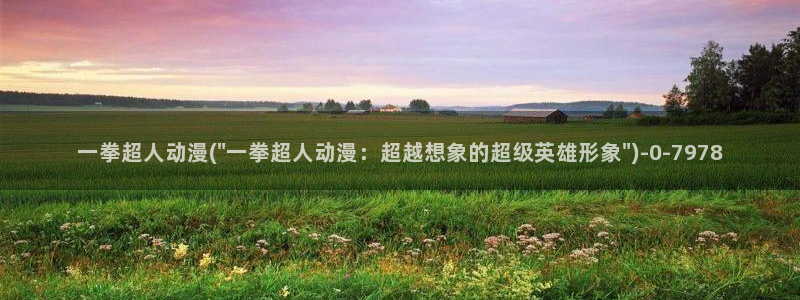 动漫肉片